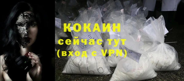 ешки Няндома