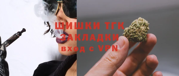 ешки Няндома