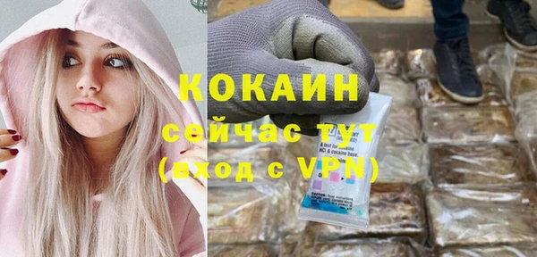 ешки Няндома