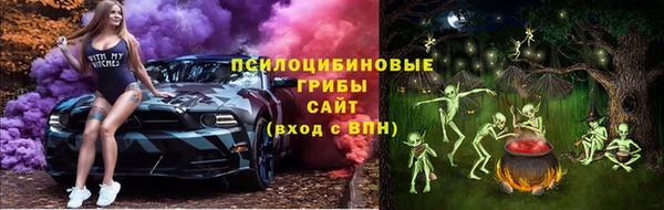 ГАЛЛЮЦИНОГЕННЫЕ ГРИБЫ Новозыбков