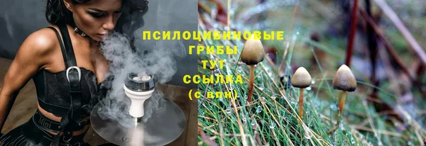 ешки Няндома