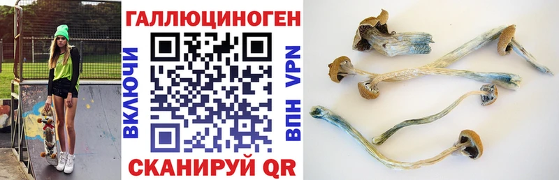 наркотики  Краснозаводск  Псилоцибиновые грибы Psilocybine cubensis 