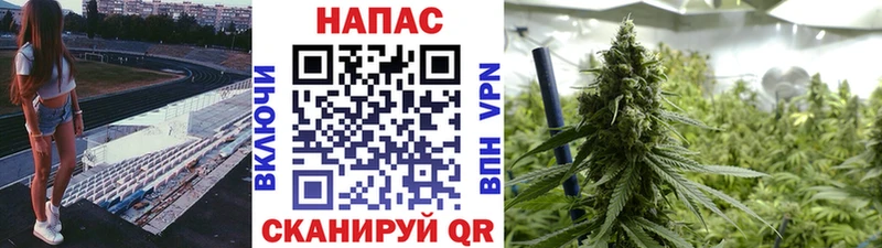Конопля планчик Краснозаводск